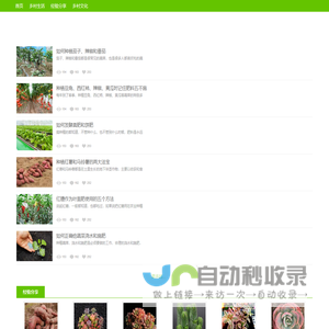 农村信息平台_农村信息分享_在线求助技能学习农产品特卖_村网